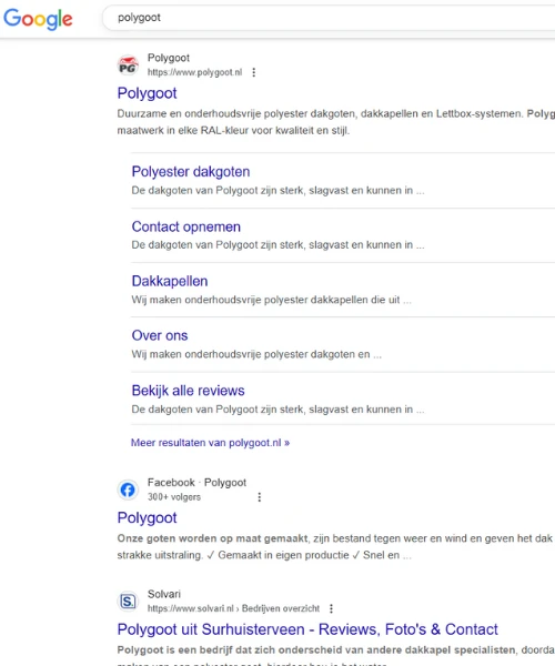 Vindbaar In Zoekmachines Seo Website Polygoot